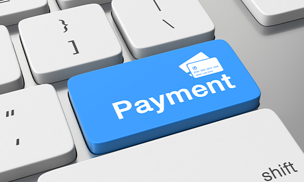 Integrate Ready Made Payment Button for Website Or Blog